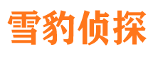 分宜市婚姻调查